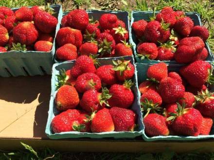 received_10212391444288784